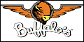 Logo for Buffalo's Southwest Cafe