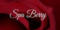 Logo for Strawberry Dreams Boutique Parlor Spa